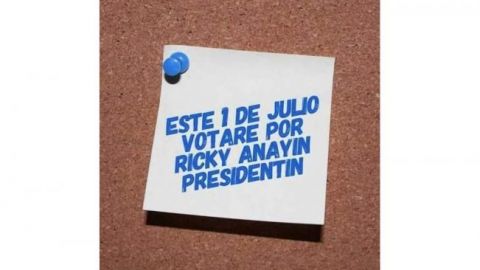Lanzan panistas campaña por "Ricky Anayín Presidentín"