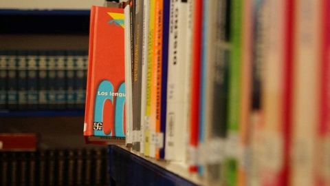El lunes se habrán entregado 90% de libros de texto gratuitos: SEP