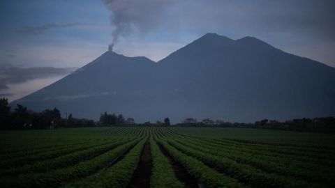 Erupción volcán Fuego dañó cultivos agrícolas de 30.221 familias en Guatemala