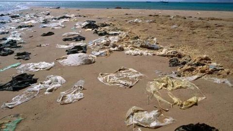 Utilización de bolsas plásticas debe concienciarse: Protección al Ambiente