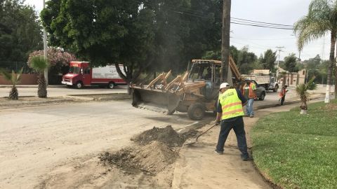 Gobierno Municipal limpia circuitos viales de mayor circulación