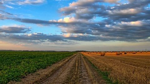 EEUU lanza plan de 12.000 millones de dólares para compensar a agricultores