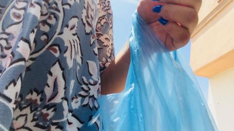 Prohibir el uso de  bolsas de plástico, no acabará con contaminación