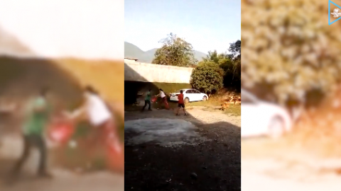 VIDEO: Investigan a mujer que roció con gasolina a su pareja en SLP