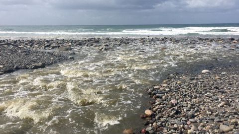 Buscan supervisar a autoridades para que atiendan la contaminación de playas