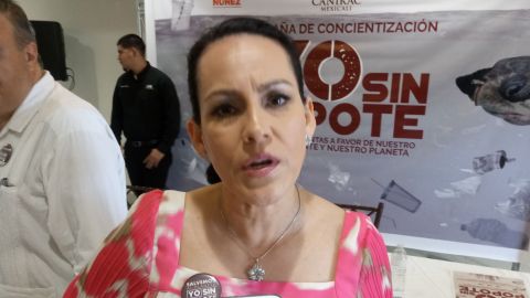 Elvira Luna, lista para el Proceso Electoral local