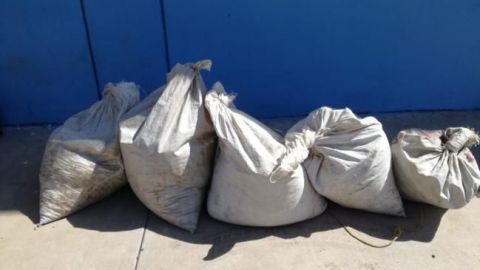 Decomisan 82 kilos de droga en Navolato, Sinaloa