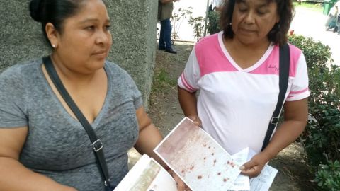 Padres de familia no llevan a sus hijos a la escuela por plaga de garrapatas