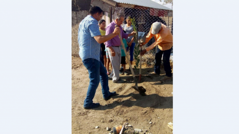Gobierno Municipal de Tecate implementa brigadas de reforestación