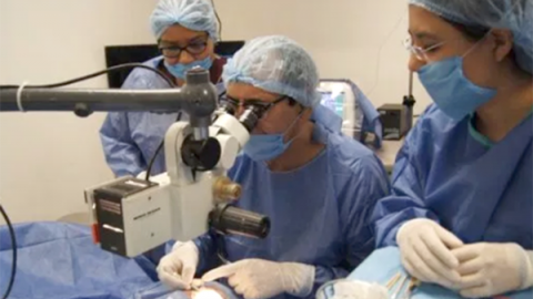 IMSS realiza más de 200 cirugías reconstructivas a niños en encuentro