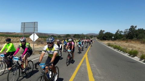 Se llevará a cabo la 39 edición del Paseo Ciclista Rosarito-Ensenada