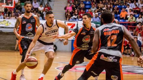 Zonkeys, invitado frecuente a playoffs