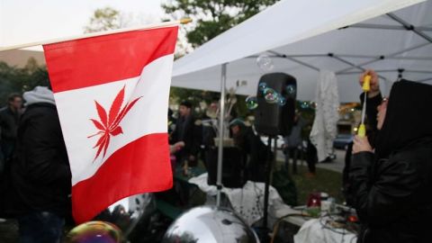 Miles de personas disfrutan en Canadá de la legalización de la marihuana