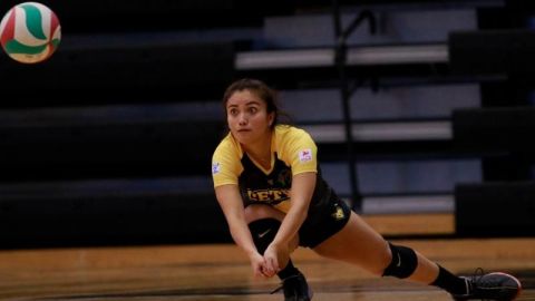 Voleibol femenil de CETYS hace un balance tras debutar en primera fuerza