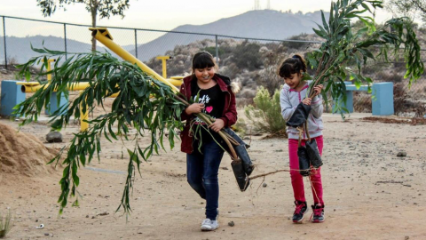 Gobierno de Tecate recupera espacios públicos y promueve campaña reforestación