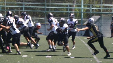 Disputarán Leones y Toros el Tazón XIII de División II