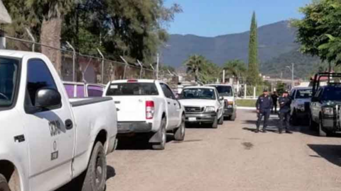 Hallan 4 cuerpos en municipio donde fue asesinada hija de diputada