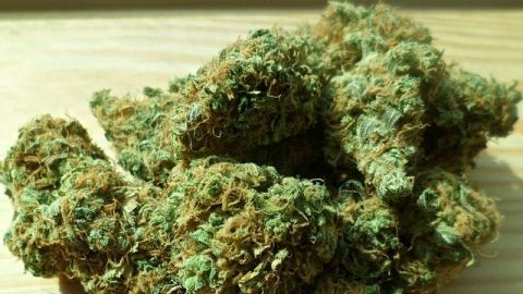 Jueces podrán otorgar amparos para uso lúdico de marihuana