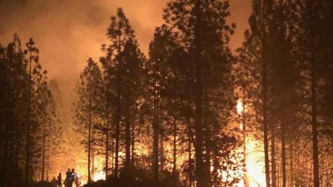 Bomberos esperan controlar el enorme incendio de California a finales de mes