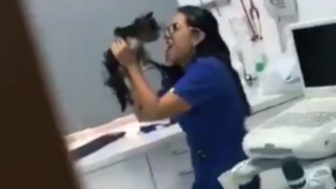 VIRAL: Asi trata la veterinaria a sus mascotas
