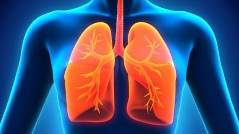 Tabaquismo causa 85 % de los casos de cáncer pulmonar, señala experta