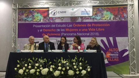 "En el país, todos los días mueren 7 mujeres por hechos violentos"