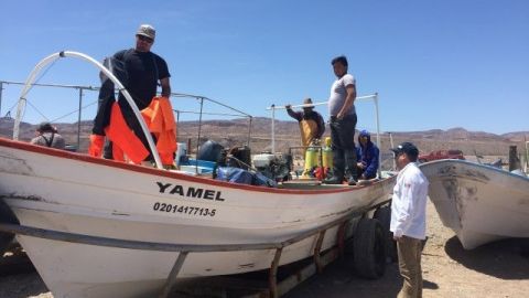 Sector pesquero preocupado ante recorte presupuestal a Conapesca
