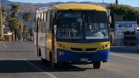 No hubo aumento al transporte público en Tecate