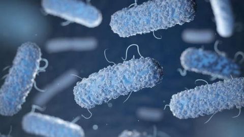Contraen  bacteria 6 personas en Hospital Privado de Tijuana