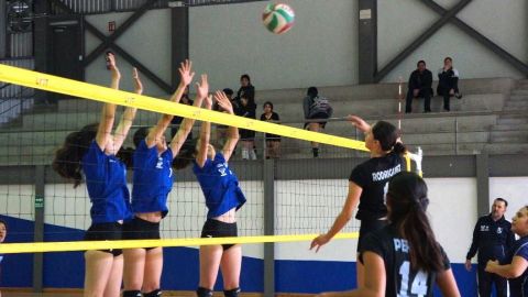 Ponen en marcha torneos de voleibol