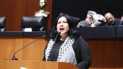 Senadora León candidato a la gubernatura de Morena por dedocracia