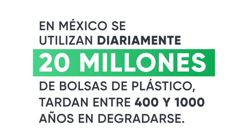 Sensibiliza Ayuntamiento sobre reforma de Ensenada Libre de Plásticos
