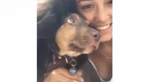Hija de Bibi Gaytán dedica emotiva despedida a su perro Rocko