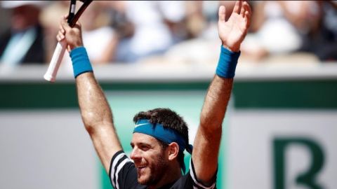 Juan Martín del Potro estará en el Abierto Mexicano de Tenis