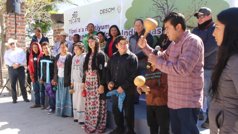 Reconocen lenguas maternas en Tecate
