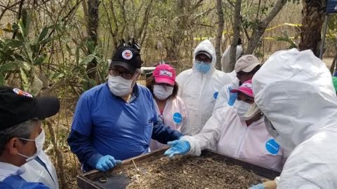 Mayoría de delitos se cometen de las 06:00 a las 12:00, dice AMLO