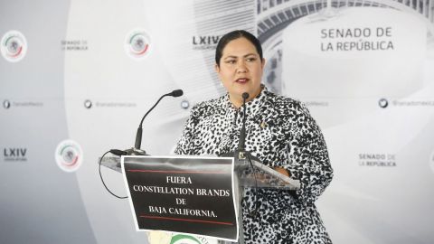 Senadora León buscará frenar proyecto cervecero en Mexicali