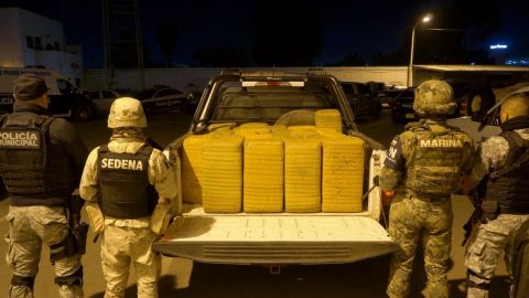 Localizan 35 paquetes de marihuana ocultos en matorrales