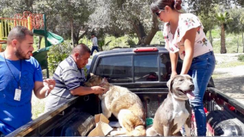 Arrancó en Tecate semana nacional de vacunación antirrábica