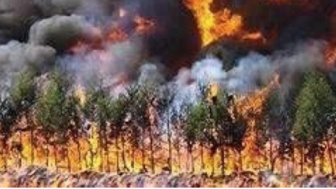 Al menos 30 bomberos mueren al intentar apagar un incendio en China