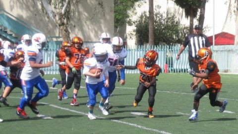 Buscan Titanes y Tigres continuar invictos en Pre Infantil