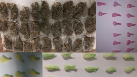 Policía Municipal aprehende a cuatro mujeres con droga