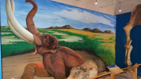 Recomienda INAH sitios arqueológicos en Baja California