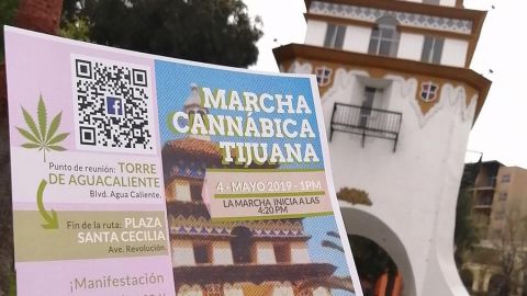 Convocan marcha por la liberación de la Cannabis en Tijuana