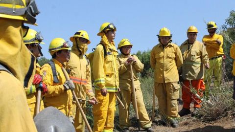 Emite Protección Civil de Ensenada medidas de prevención de incendios forestales