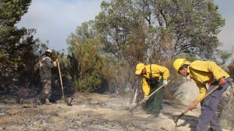 Alistan operativos de combate a incendios forestales