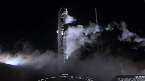 SpaceX lanza cohete con cápsula Dragon que lleva suministros para la EEI