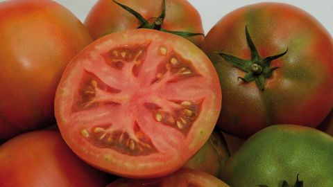 Respalda Sader a productores de tomate para exportar a EU