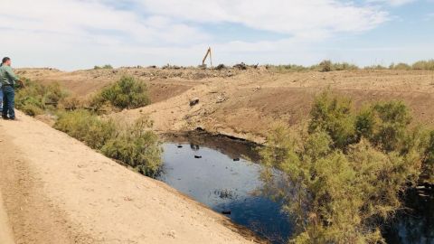 Contaminan dren con aceite en el valle de Mexicali