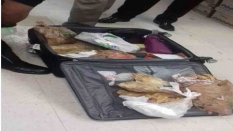 Decomisan carne de totoaba a ciudadana china en el AICM